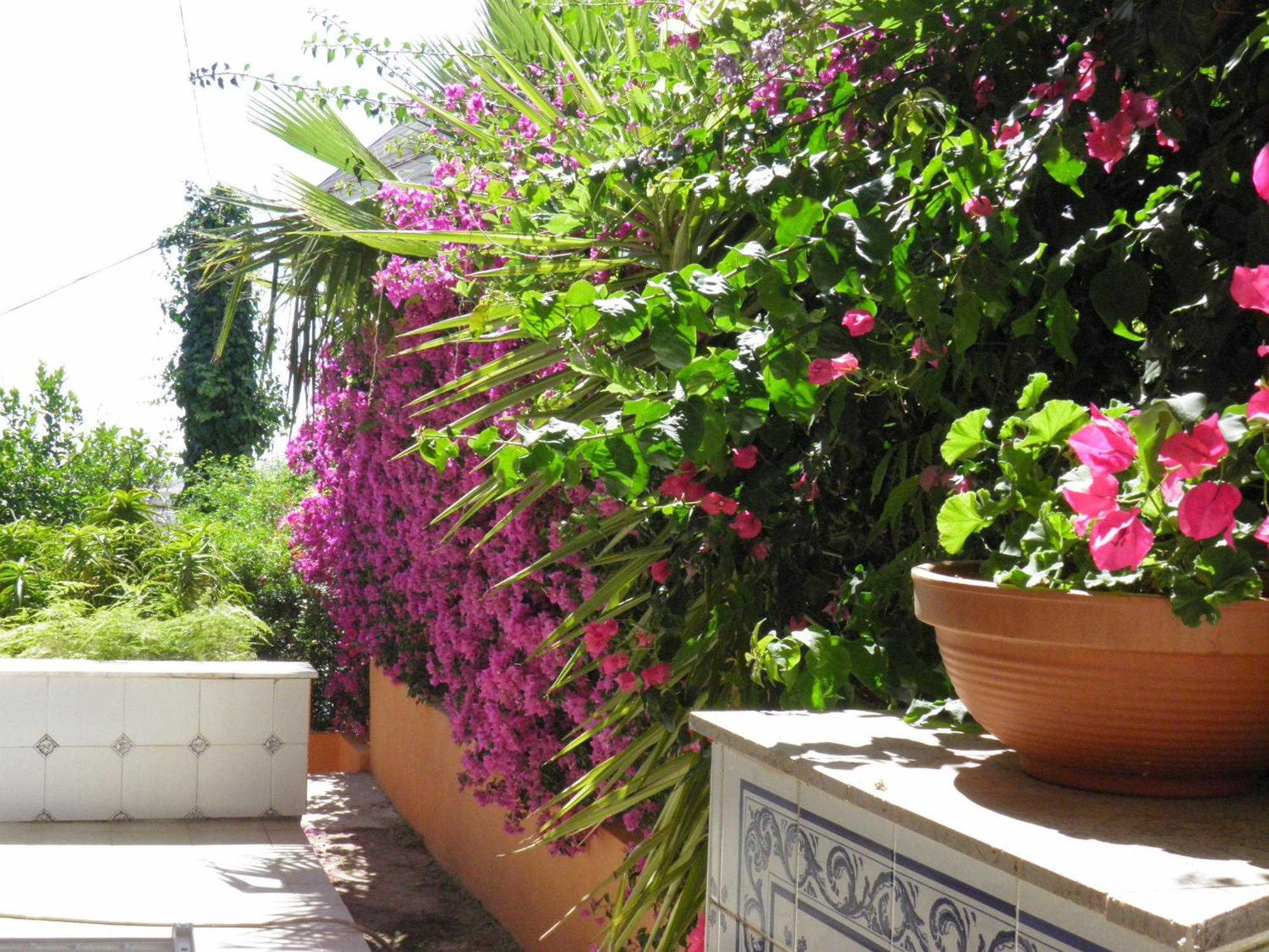 Casa Rural La Torreta Corbera de Alcira Zewnętrze zdjęcie