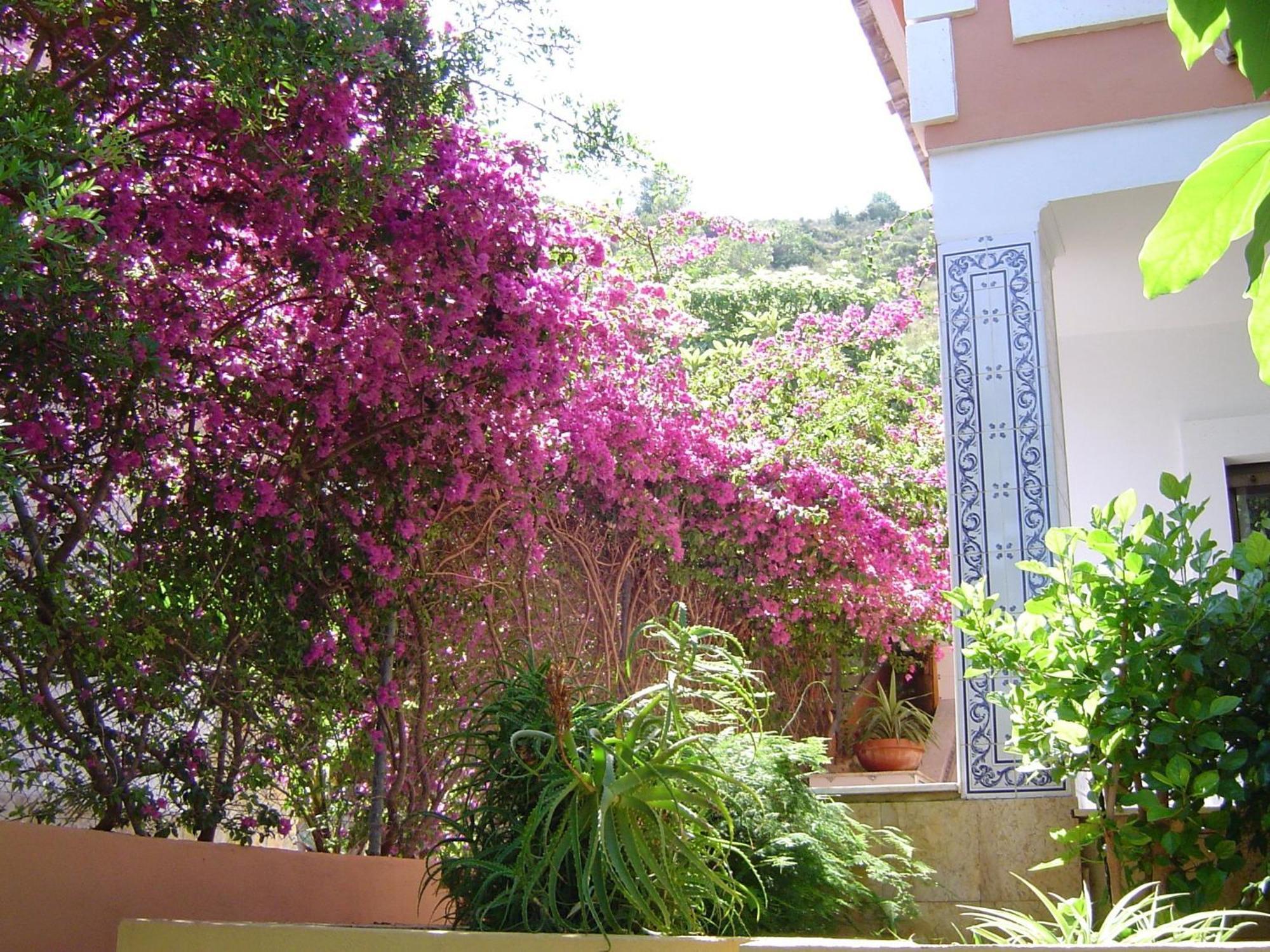 Casa Rural La Torreta Corbera de Alcira Zewnętrze zdjęcie